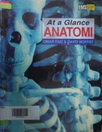Ata Glance Anatomi