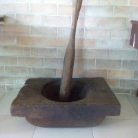 Lesung