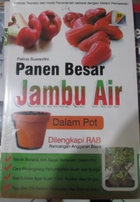 Panen Besar jambu Air Dalam Pot